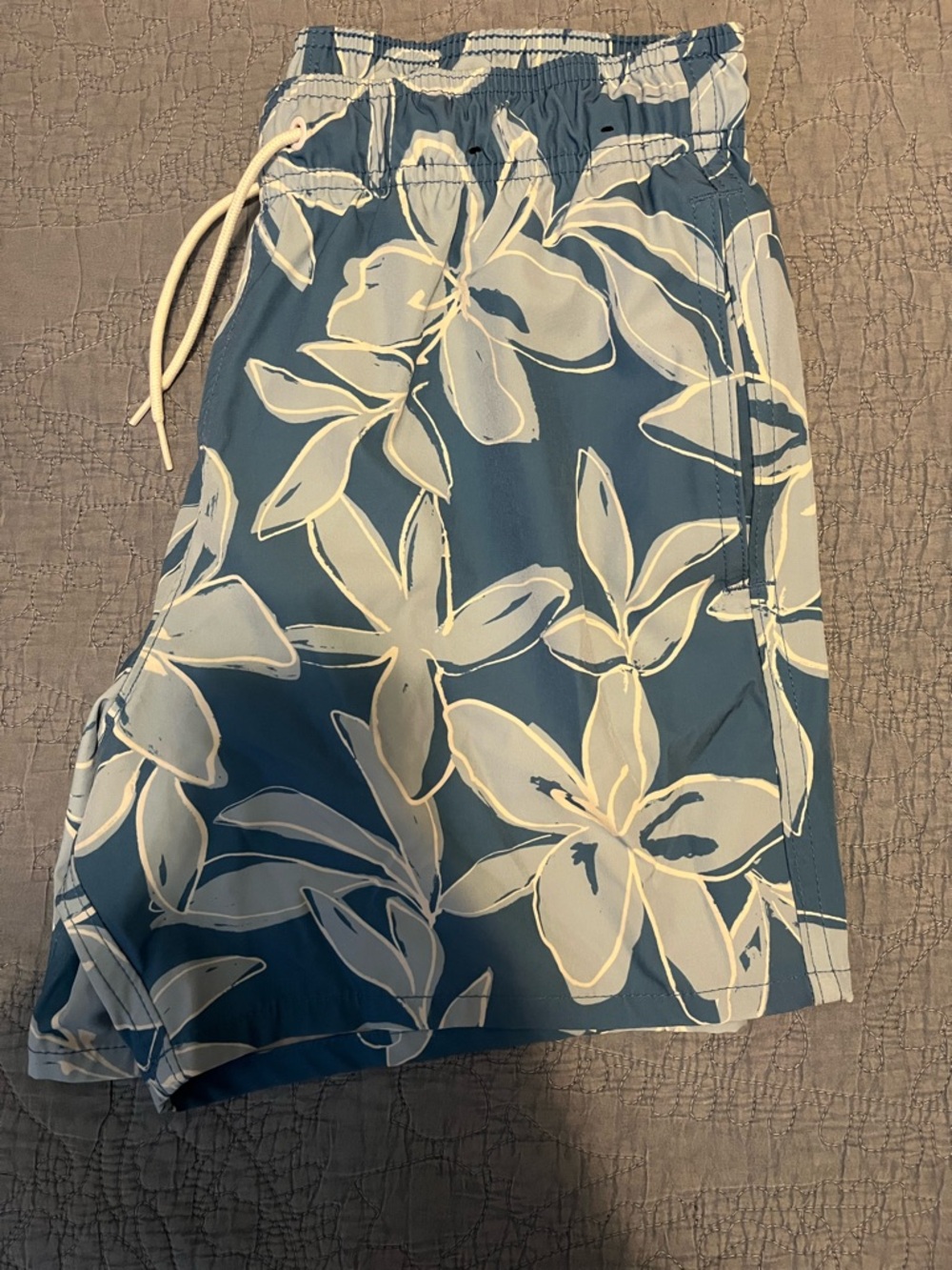 Hollister Swim Trunks 5”